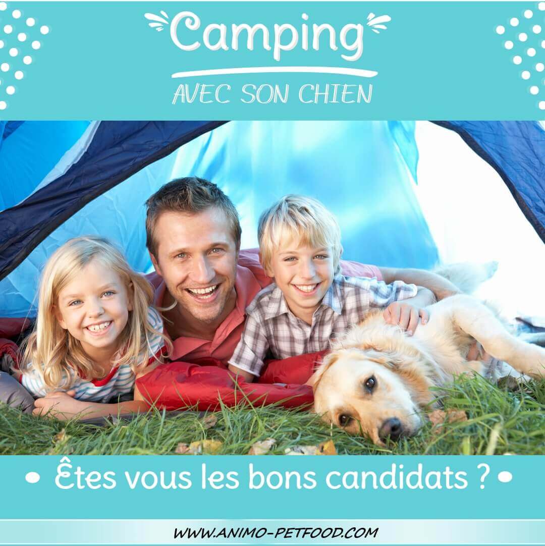 faire-du-camping-avec-son-chien
